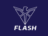 flash-logo11